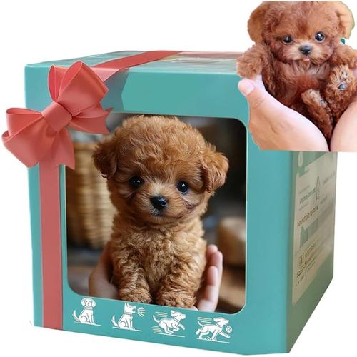 Chien robot intelligent, mon chiot robot raliste, chiot robot raliste qui se comporte comme un vrai chiot, chien robot, Nicoo - Mes chiots robots ralistes (C)