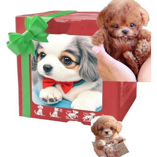 Chien robot intelligent, mon chiot robot raliste, chiot robot raliste qui se comporte comme un vrai chiot, chien robot, Nicoo - Mes chiots robots ralistes (D)