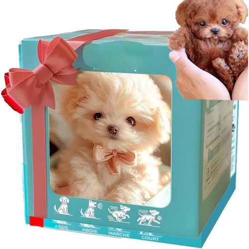 Chien robot intelligent, mon chiot robot raliste, chiot robot raliste qui se comporte comme un vrai chiot, chien robot, Nicoo - Mes chiots robots ralistes (F)