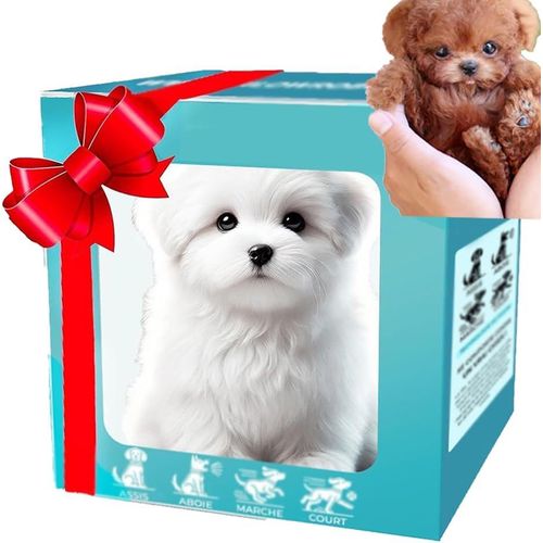 Chien robot intelligent, mon chiot robot raliste, chiot robot raliste qui se comporte comme un vrai chiot, chien robot, Nicoo - Mes chiots robots ralistes (G)