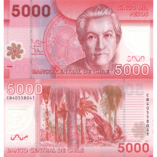 Chili / 5.000 Pesos / 2014 / P-163(E) / Unc