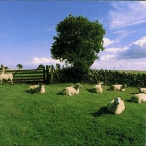 Chill Out - The Klf - 