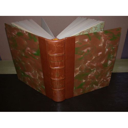 Chronique Du Rgne De Charles Ix   de Merimee Prosper 