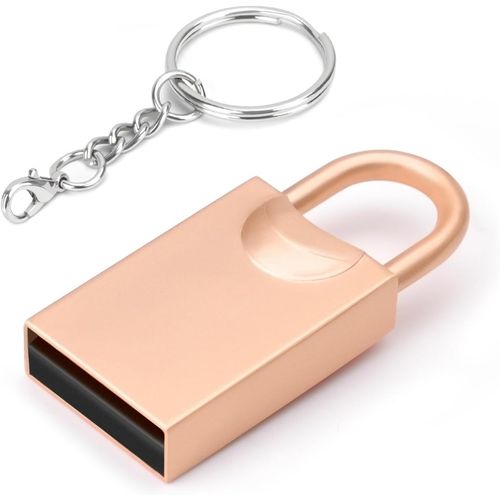 Cl USB 3.0, Mini cl USB, cl USB pour Voiture, cl USB avec Porte-cls pour PC, Ordinateur Portable, etc. (64GB, Serrures Dores)