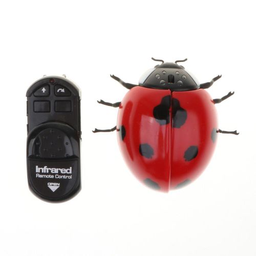 Coccinelle Tlcommande  Infrarouge, Jouet Animal Rc, Reptile, Insectes, Blague Effrayante