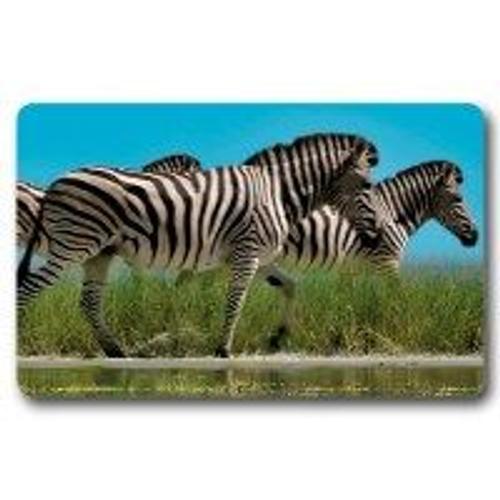 Collector Cartes Animaux N36 - Zbre