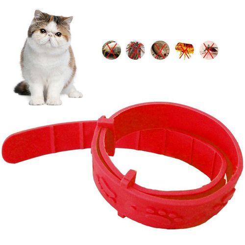 Collier Anti-Tiques Pour Chat, Anti-Acariens, Quadruple Retrait, Effet Puces, Traitement Pour Le Cou Du Chaton, Pas D'outil De Toilettage, Fournitures Pour Animaux De Compagnie, Offre Spciale
