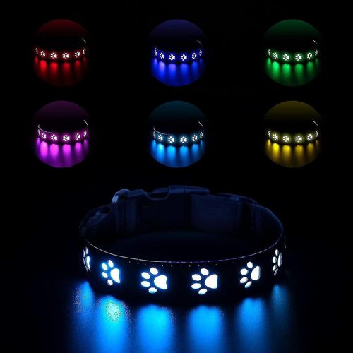 Collier De Chien Led Amlior, Extra Bright Usb Rechargeable [7 Modes] Collier De Chien Lumineux, Cuir Et Ny