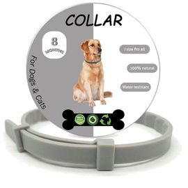 Collier de chien réglable Puce Tique prévention Collier anti-parasites  naturels gris