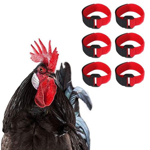 Collier De Poulet En Nylon, Anti-Crochet, Anti-Bruit, Durable, Fournitures Pour Poulets, Canards, Oies Et Autres Volailles