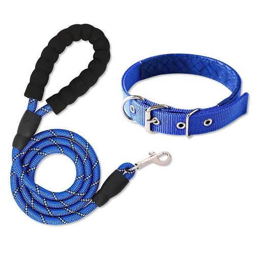 Collier Pour Chien Classique, Collier Pour Chien RGlable Avec Fermoir En MTal Robuste M Bleu