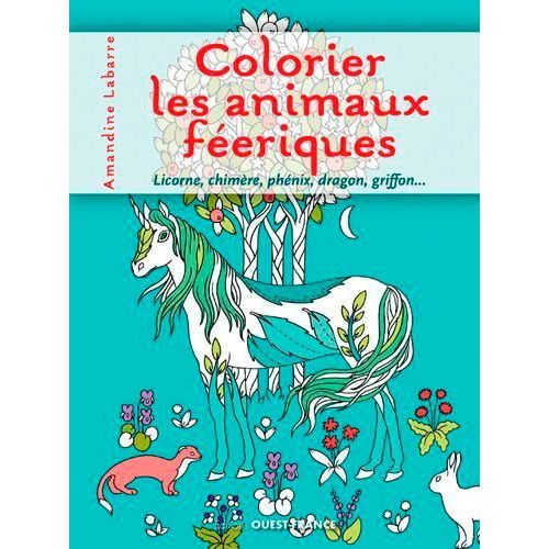 Colorier Les Animaux Friques    Format Broch 