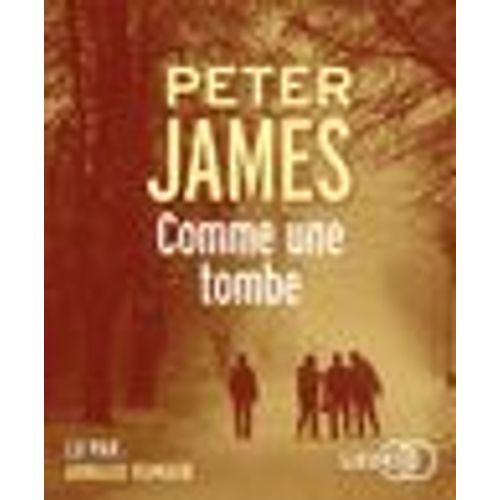 Comme Une Tombe   de Peter James 