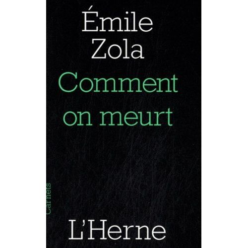 Comment On Meurt    Format Grand Format 