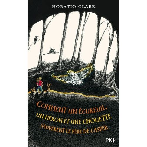 Comment Un cureuil, Un Hron Et Une Chouette Sauvrent Le Pre De Casper    Format Grand Format 
