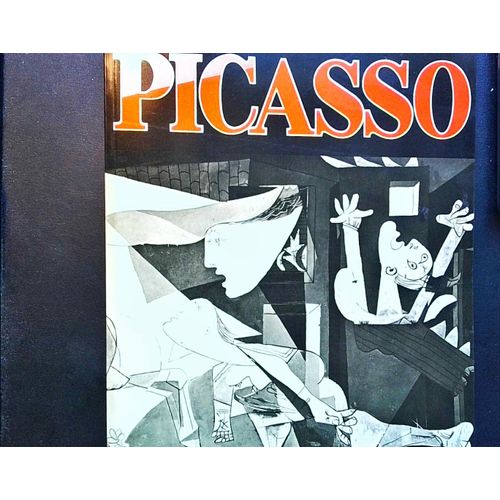 Connatre Picasso - L'Aventure De L'Homme Et Le Gnie De L'Artiste Domenico Porzio, Marco Valsecchi, Renato Guttuso (Prface), Anne-Marie Pantalo-Kaminski (Traducteur) Reli, 269 Pages 1974 Hachette   