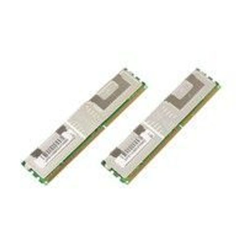 CoreParts MicroMemory (2 x 2GB, 667 MHz, DDR2-RAM, FB-DIMM), Mmoire vive, Vert