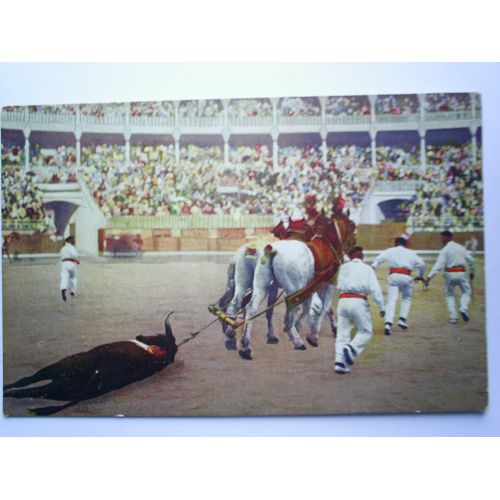 Corrida En Espagne