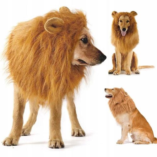 Costumes Ralistes  Crinire De Lion Pour Chiens De Taille Moyenne Et Grande