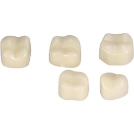 Couronne temporaire, fausses dents, 50 pièces/boîte pour les soins  bucco-dentaires(Posterior teeth)