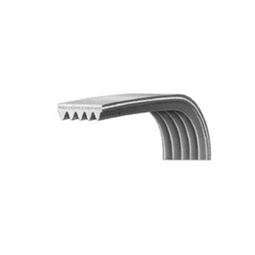 Courroie 8ph2012 2012ph8 2012h8 2012H8 42225271 pour Seche linge CONTINENTAL EDISON, ESSENTIEL B, SHARP