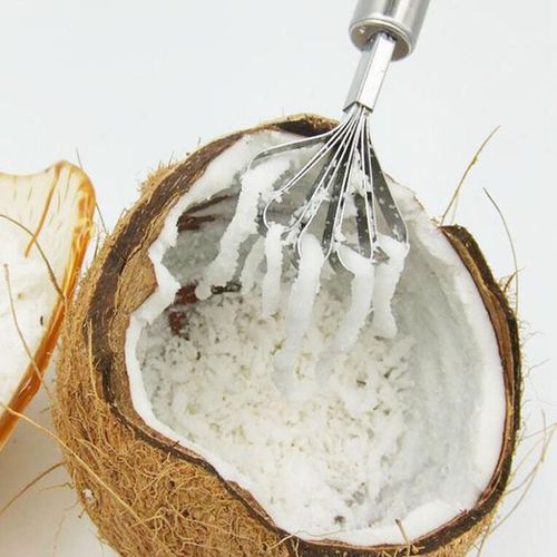 Couteau  Noix De Coco Rpe  Noix De Coco Crative En Acier Inoxydable, Grattoir  Viande De Noix De Coco, Raboteuse De Poisson Et De Fruits
