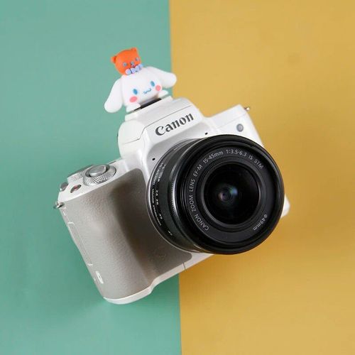 Couvercle de chaussure chaude pour appareil photo sans miroir DSLR,capuchon de protection anti-poussire de dessin,accessoires d'appareil photo,Sony,Leica,IL,Nikon - Type model 2