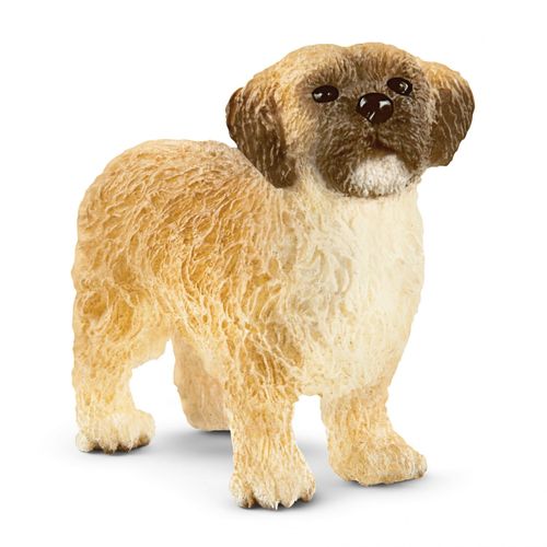Farm World  Shih Tzu Maltese
