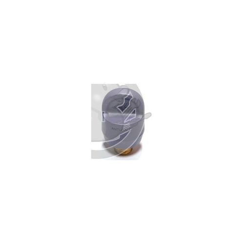 CS-00132541, BOUCHON CHAUDIERE, CENTRALE VAPEUR  Calor