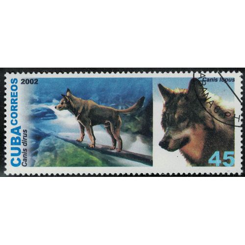Cuba 2002 Oblitr Used Animaux Canid teint Canis Dirus Et Canis Lupus Loup Su