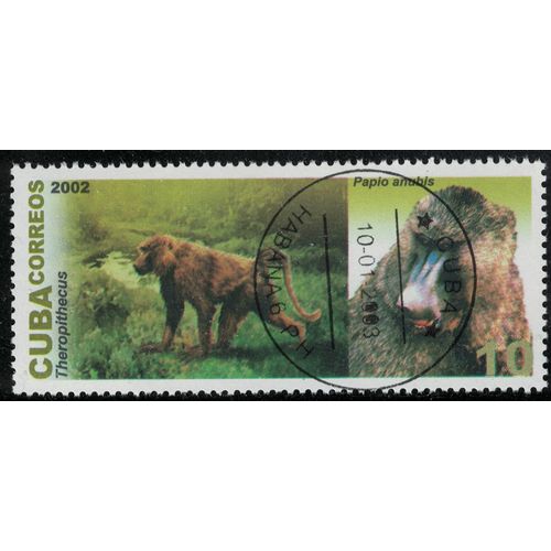 Cuba 2002 Oblitr Used Animaux Primates Theropithecus Et Papio Anubis Babouin Olive Su