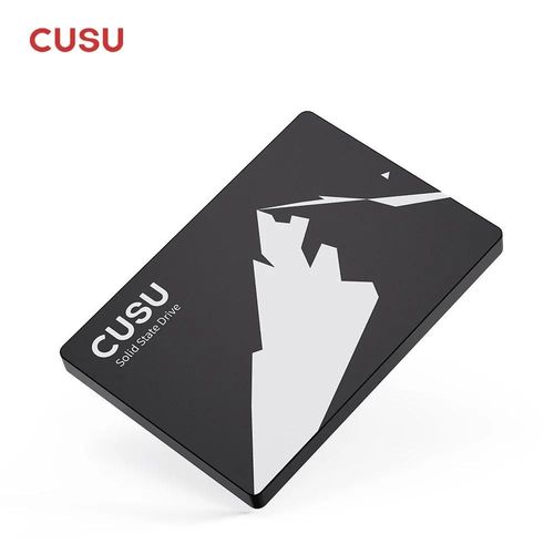 CUSU SSD 1 To 2 To SATA 2,5 ''SATA3 Disque dur SSD 128 Go 256 Go 512 Go pour ordinateur portable-256 GO