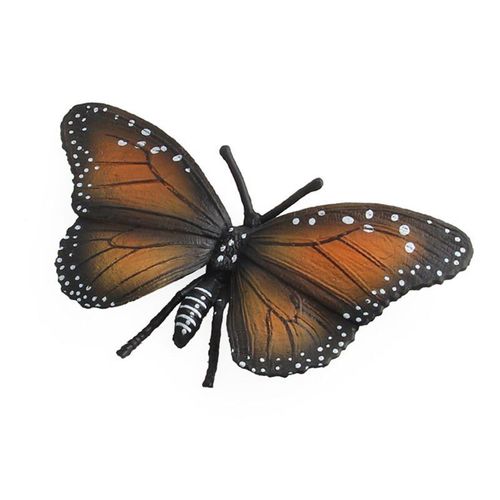 Cycle De Croissance Des Papillons, Coccinelle, Abeille, Araigne, Modles De Cycle De Vie, Simulation D'Animaux, Figurines D'Action Cratives ducatives Pour Enfants