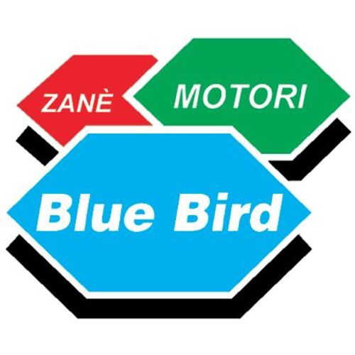 1 X Tj35e 2t Cc 34 Dmarrage Facile Enchres Italia Mm 28 Dbroussailleuse Kawasaki Bluebird