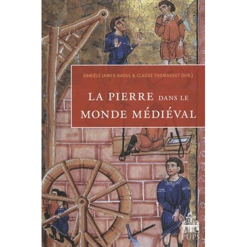 La Pierre Dans Le Monde Mdival   de James-Raoul Danile  Format Broch 