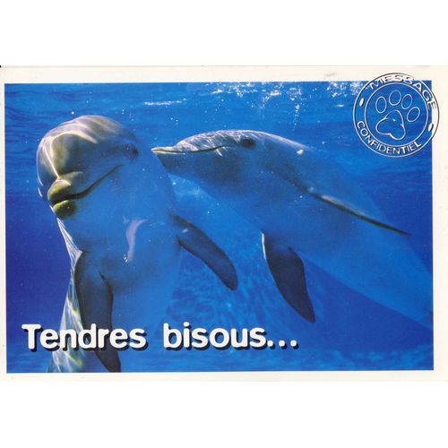 Dauphins, Tendres Bisous
