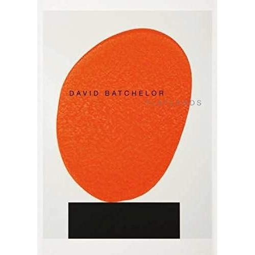 David Batchelor - Flatlands   de Rudi Fuchs  Format Broch 