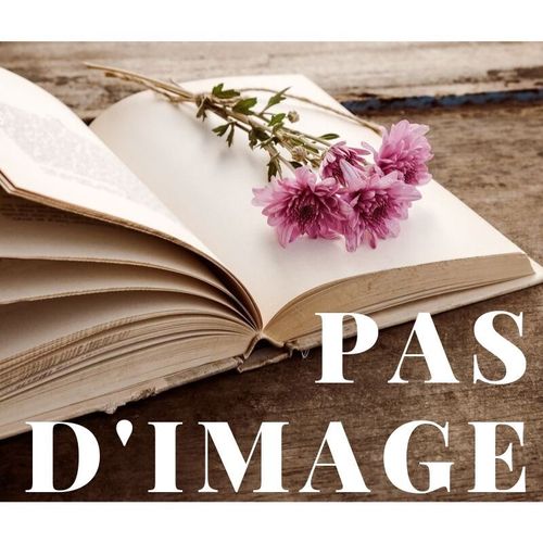 De La Barbarie En Gnral Et De L'intgrisme En Particulier   de rachid mimouni  Format Broch 