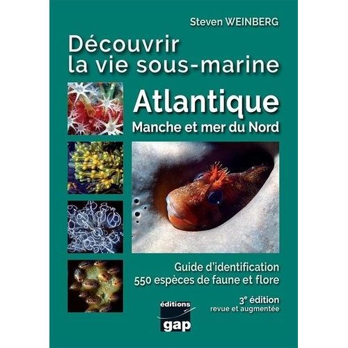 Dcouvrir La Vie Sous-Marine Atlantique, Manche Et Mer Du Nord   de Weinberg Steven  Format Beau livre 