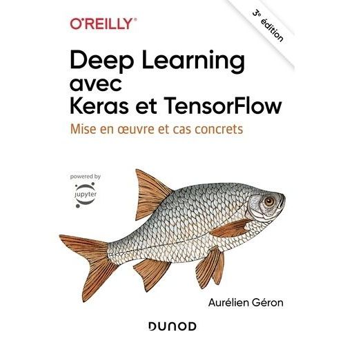 Deep Learning Avec Keras Et Tensorflow - Mise En Oeuvre Et Cas Concrets    Format Grand Format 