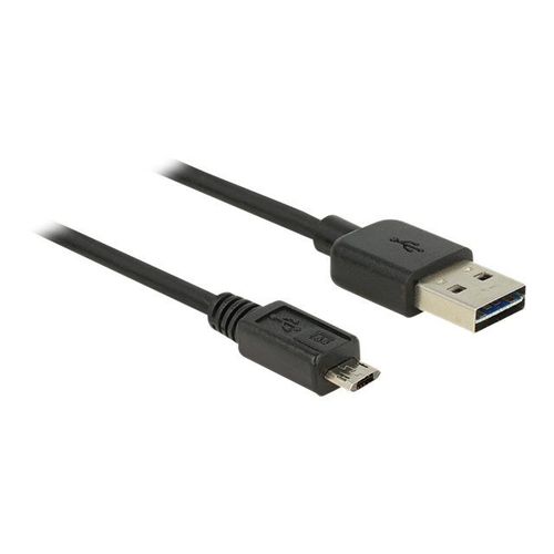 Delock EASY-USB - Cble USB