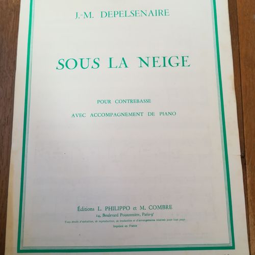 Depelsenaire, Sous La Neige Pour Contrebasse Et Piano