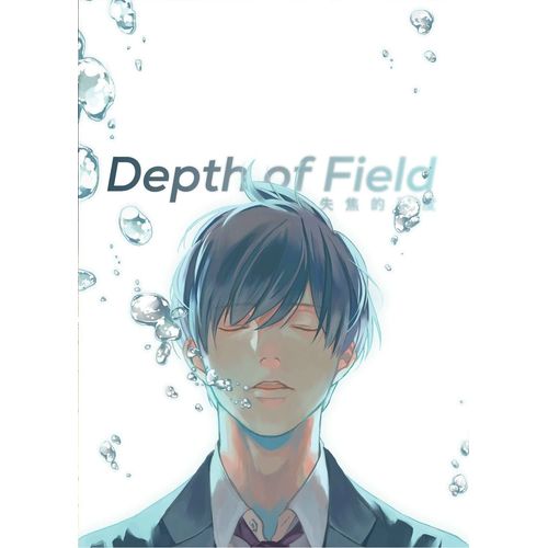 Depth Of Field Vol. 1    Format Broch 