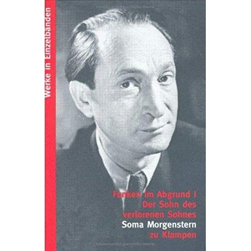 Der Sohn Des Verlorenen Sohnes: Erster Roman Der Trilogie Funken Im Abgrund (Werke In Einzelbanden / Soma Morgenstern) (German Edition)   de morgenstern soma  Format Broch 