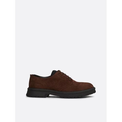 Derbies En Daim  Lacets Hilfiger Core Suede Shoe/Cocoa - 43