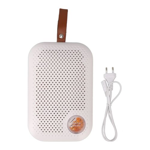 Deshumidificateur de poche reutilisable en gel de silice, outil d'absorption d'humidite silencieux, prise UE 220 V
