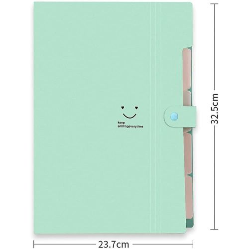Dveloppement Du Dossier De Fichiers. A4 Lettre Papier Poches Accordon Document Bag Organizer
