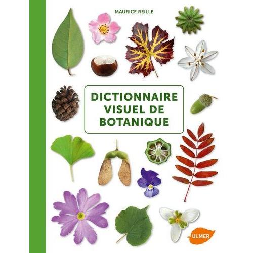 Dictionnaire Visuel De Botanique   de maurice reille  Format Broch 
