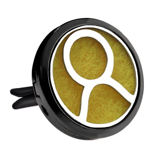 Diffuseur D'huiles Essentielles En Acier Inoxydable, Dsodorisant De Voiture, Mdaillon De Parfum, Pendentif Grenouille, Bijoux  Clip, Arme Noir Brillant, Mode