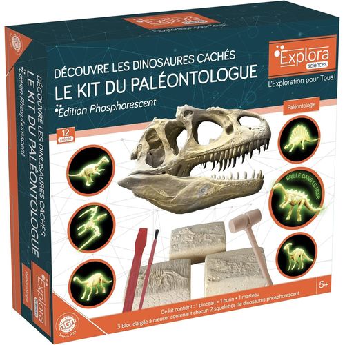 Dinosaures Phosphorescents - Kit De Palontologue